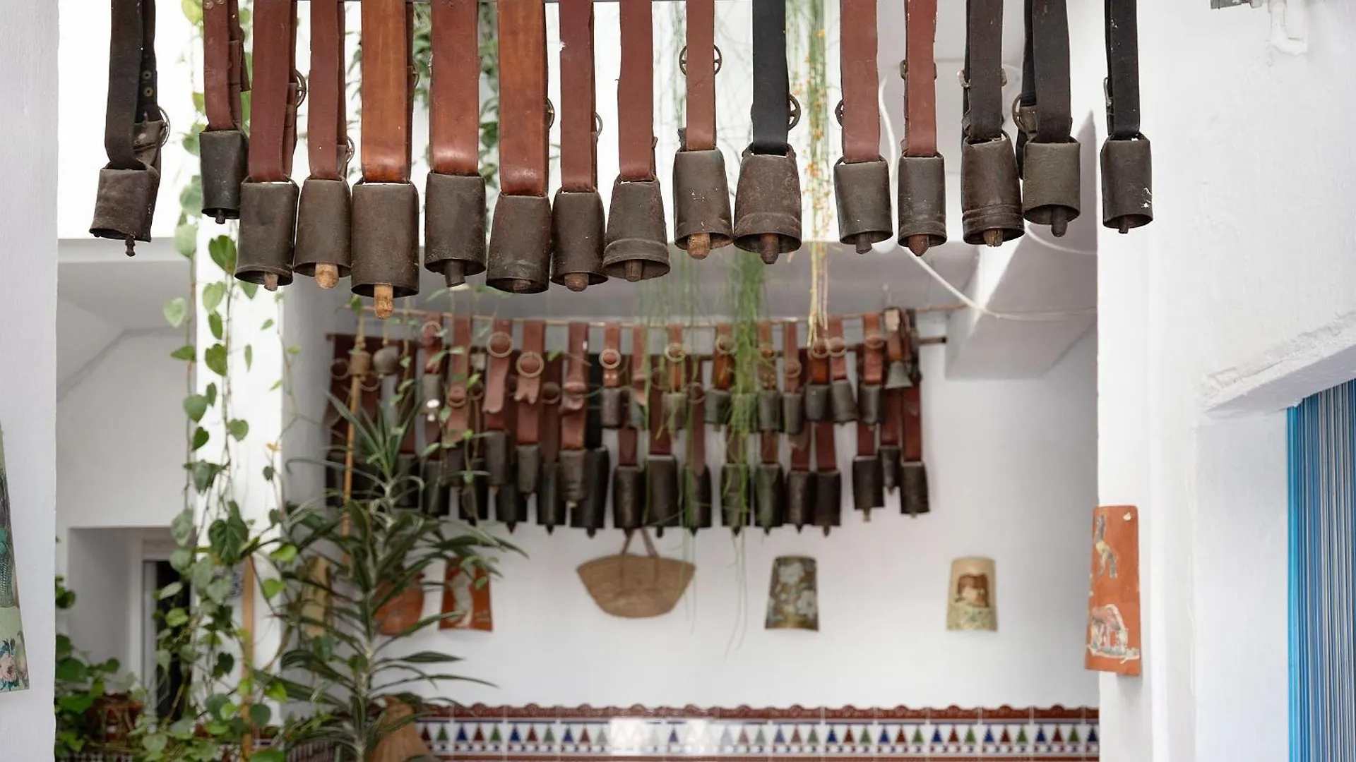 Casa El Muro Vejer de la Frontera Apartment
